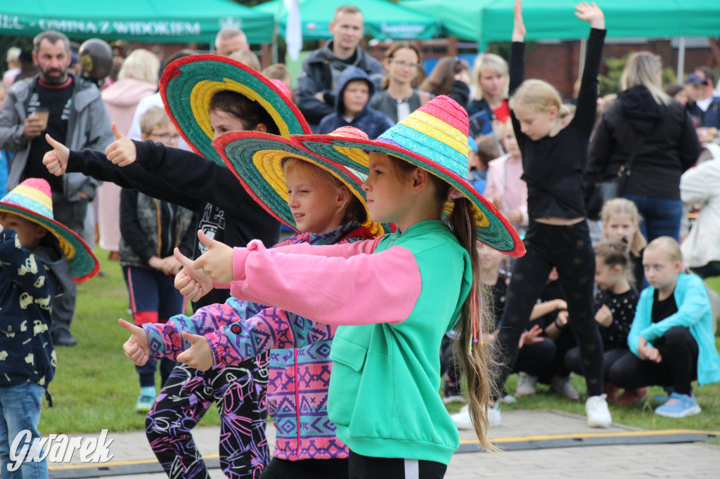 Piknik charytatywny w Nowym Chechle