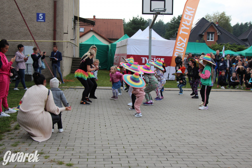 Piknik charytatywny w Nowym Chechle