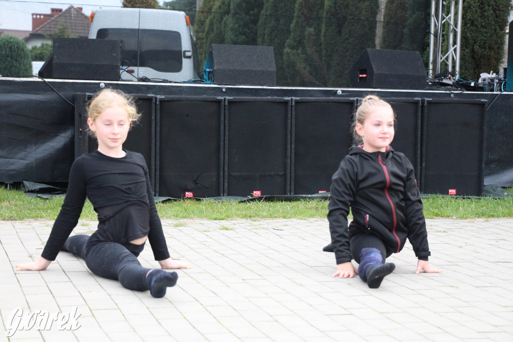 Piknik charytatywny w Nowym Chechle