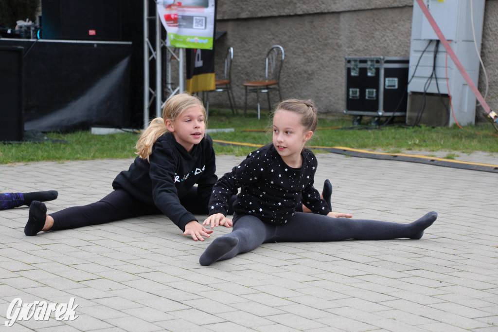 Piknik charytatywny w Nowym Chechle