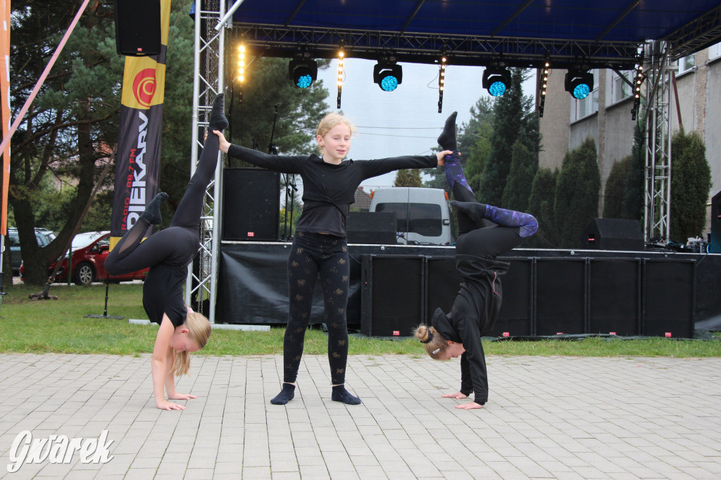 Piknik charytatywny w Nowym Chechle