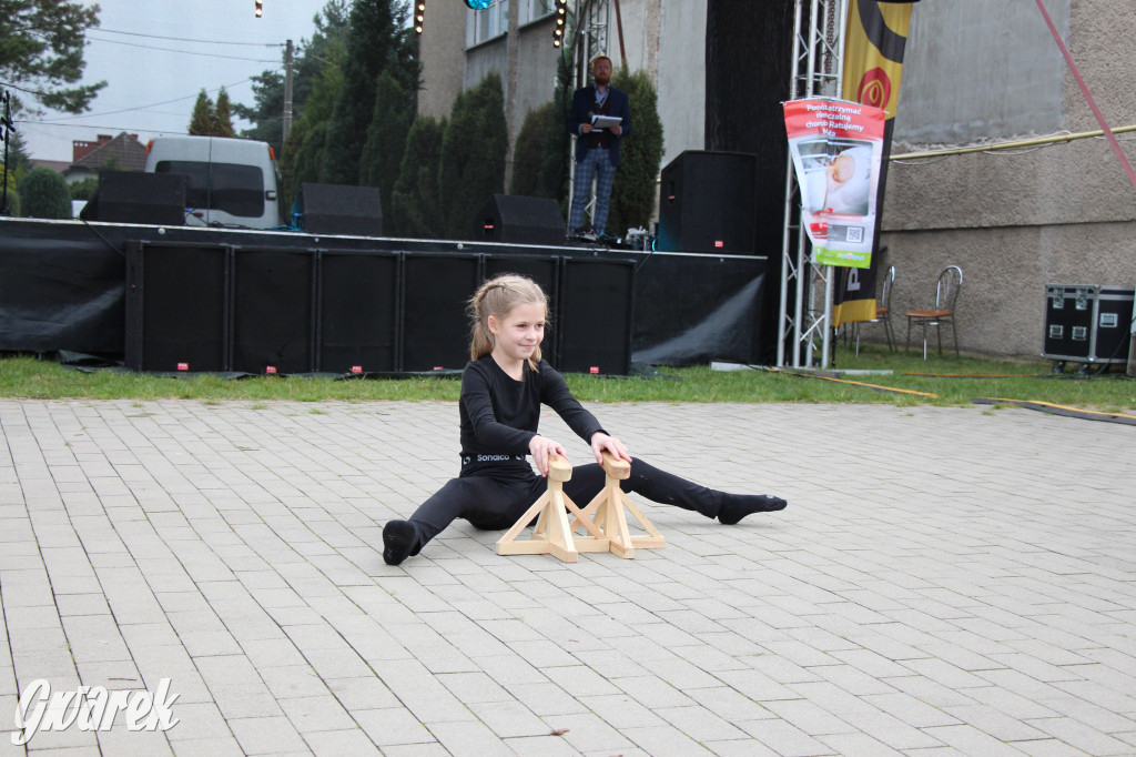 Piknik charytatywny w Nowym Chechle