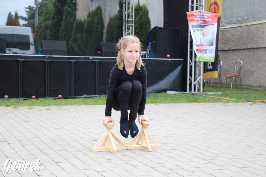 Piknik charytatywny w Nowym Chechle