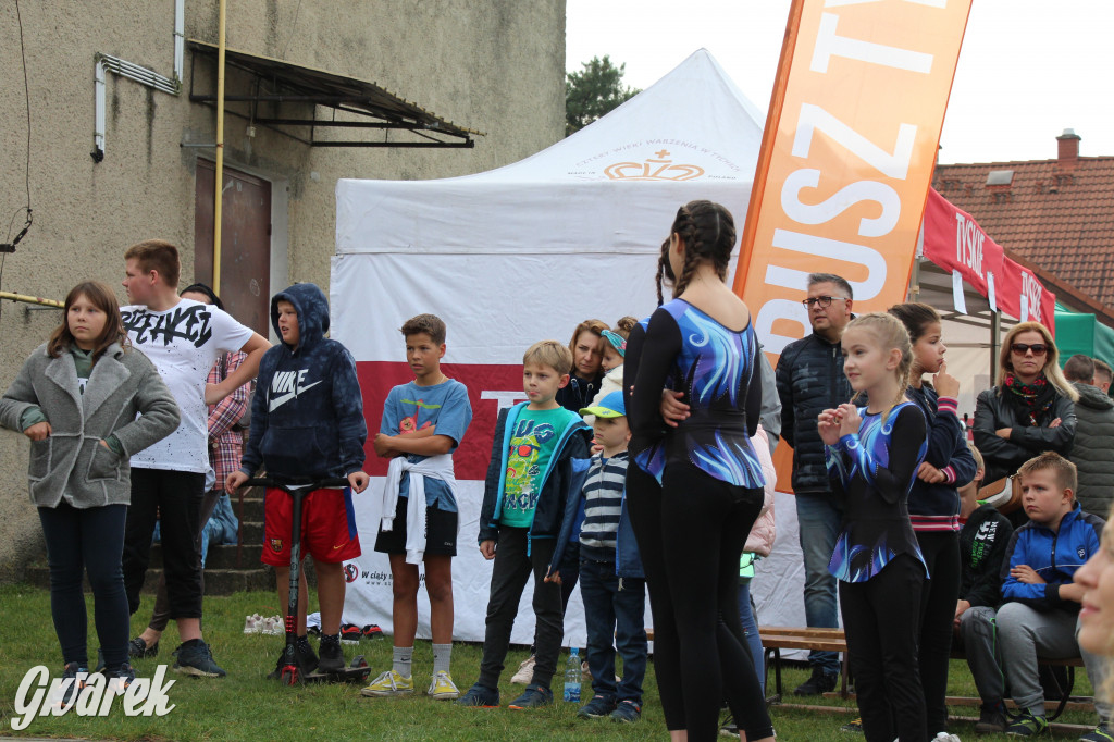 Piknik charytatywny w Nowym Chechle