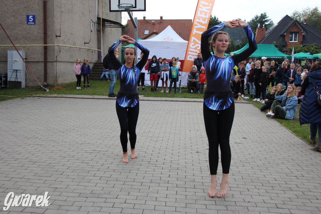 Piknik charytatywny w Nowym Chechle