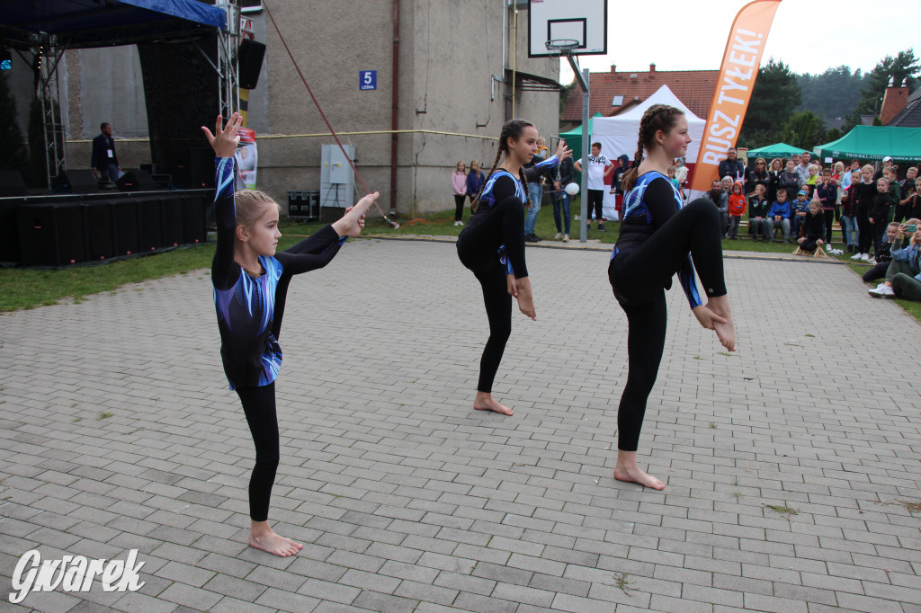 Piknik charytatywny w Nowym Chechle