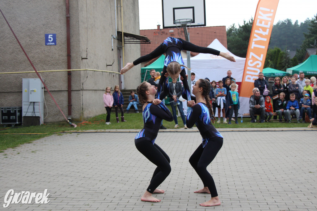 Piknik charytatywny w Nowym Chechle