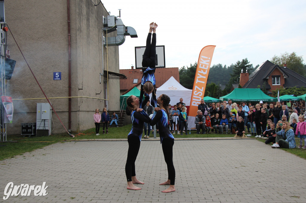 Piknik charytatywny w Nowym Chechle