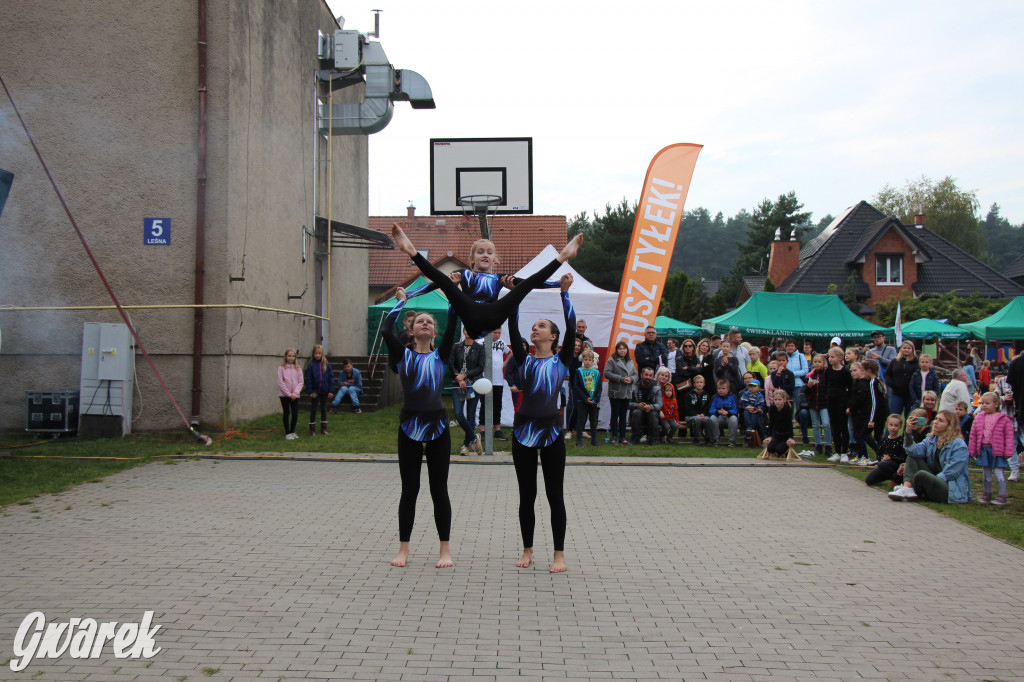 Piknik charytatywny w Nowym Chechle