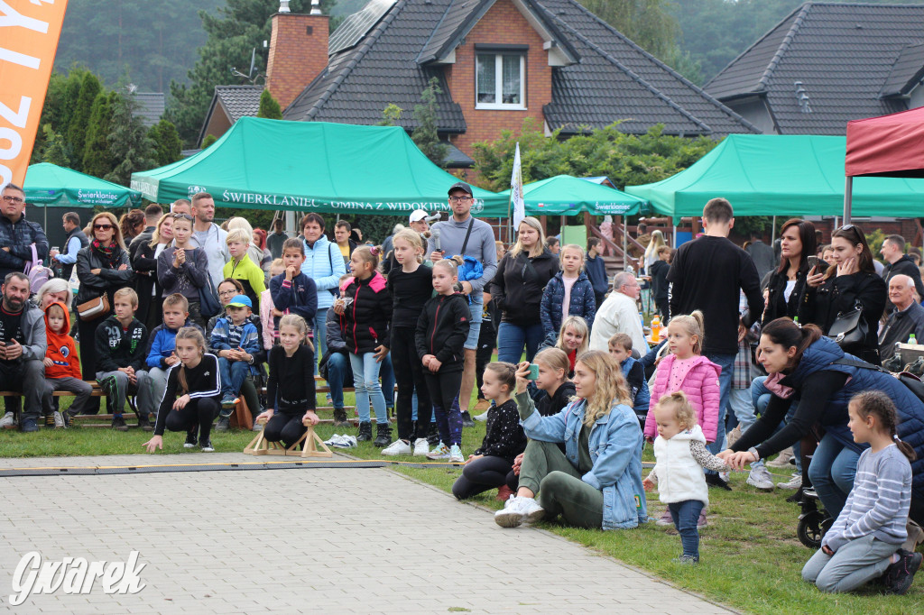 Piknik charytatywny w Nowym Chechle