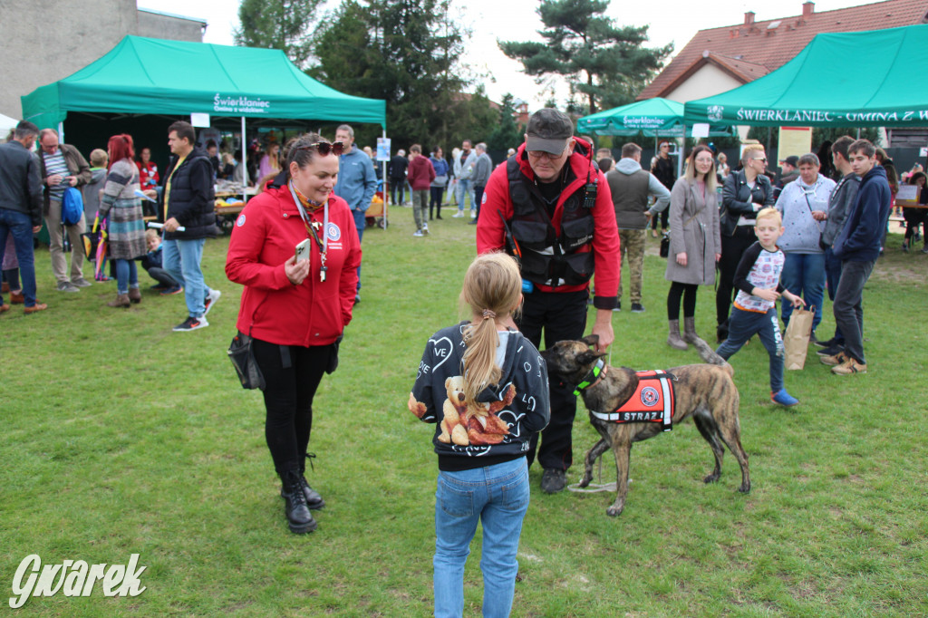 Piknik charytatywny w Nowym Chechle