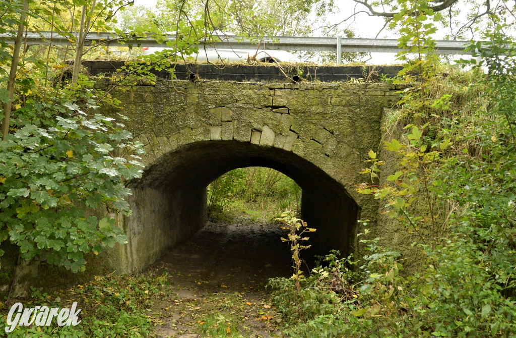 Czy te mosty grożą zawaleniem?