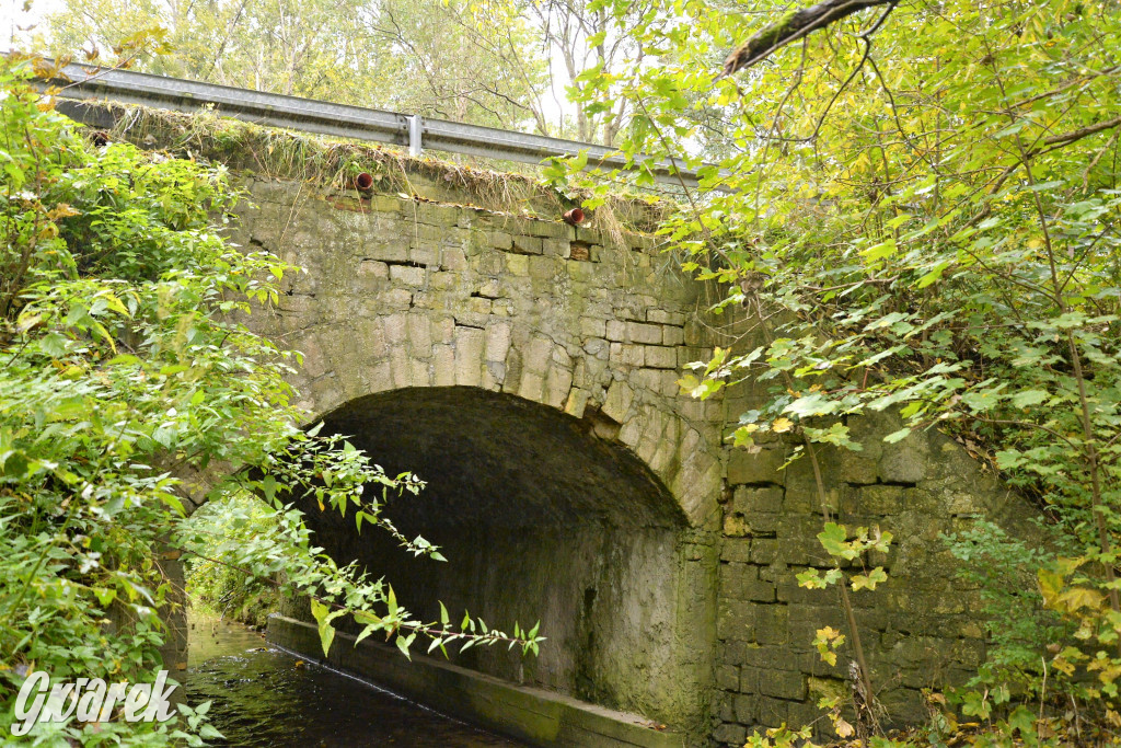 Czy te mosty grożą zawaleniem?