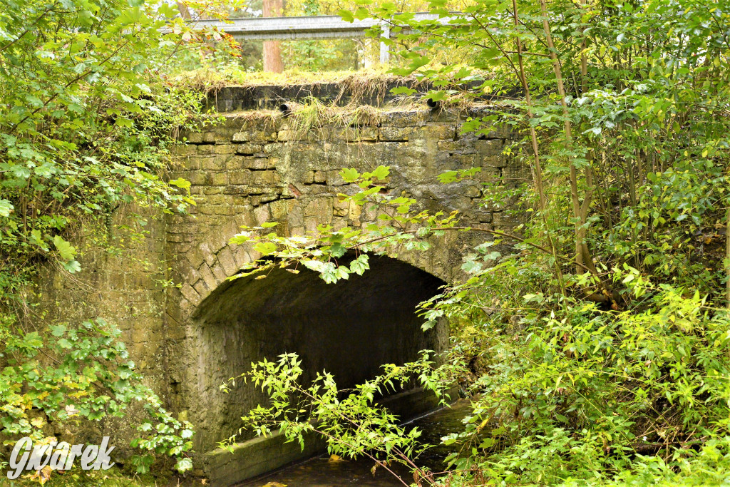 Czy te mosty grożą zawaleniem?