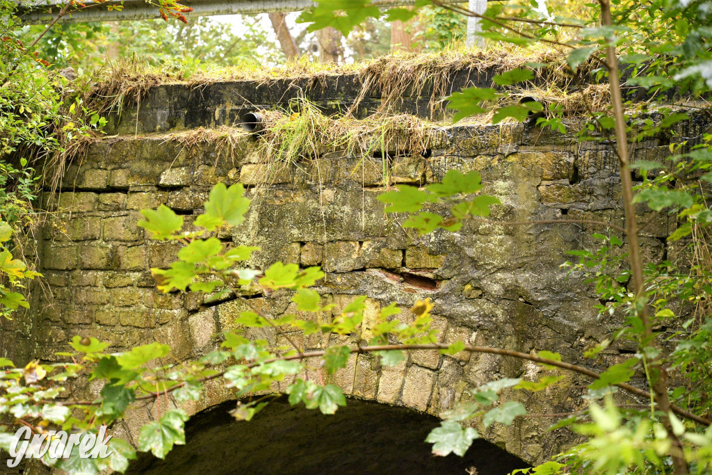 Czy te mosty grożą zawaleniem?