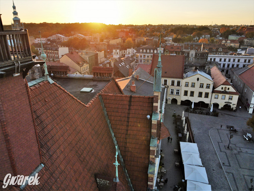 Tarnowskie Góry. Widok z wysokości wieży ratusza