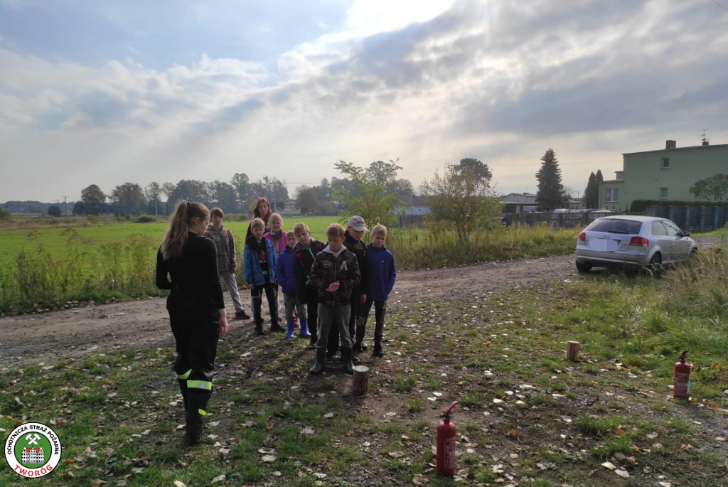 Podchody młodych druhów w Świniowicach