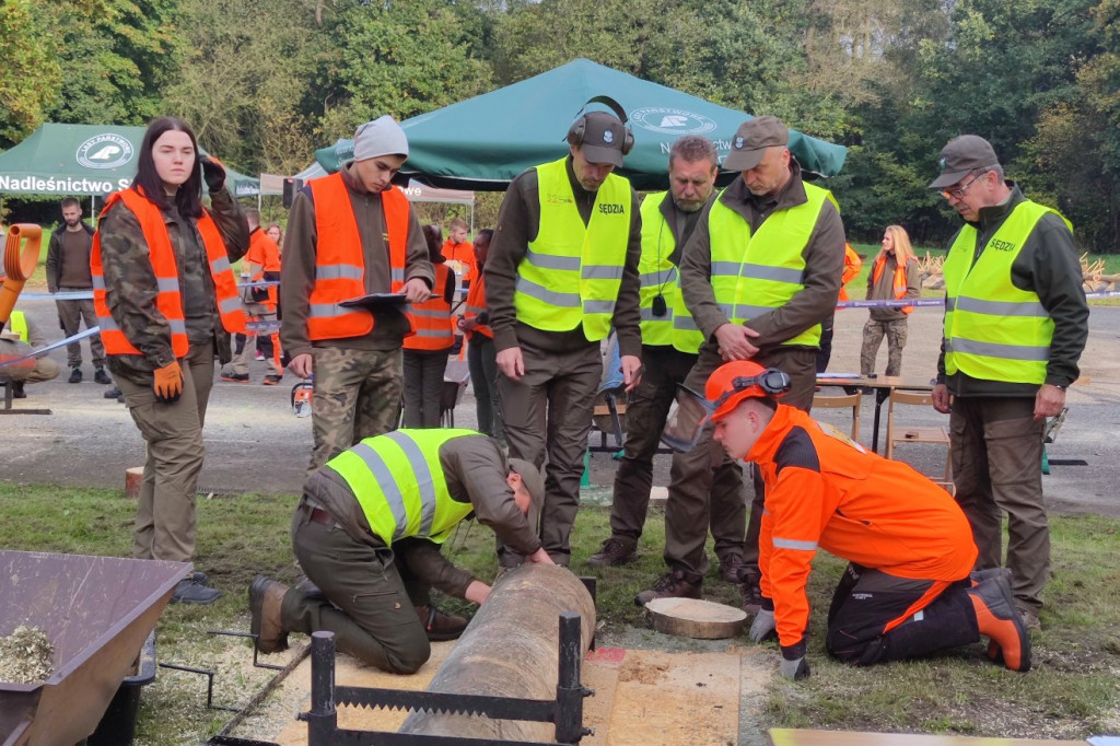 Mistrzowie piły w Brynku