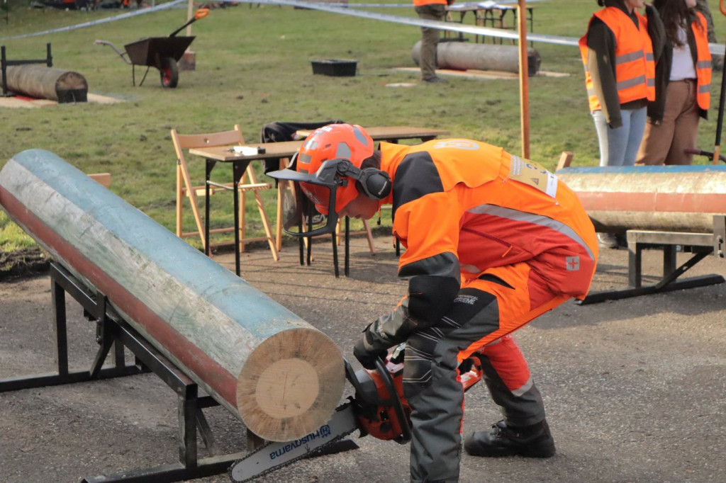 Mistrzowie piły w Brynku