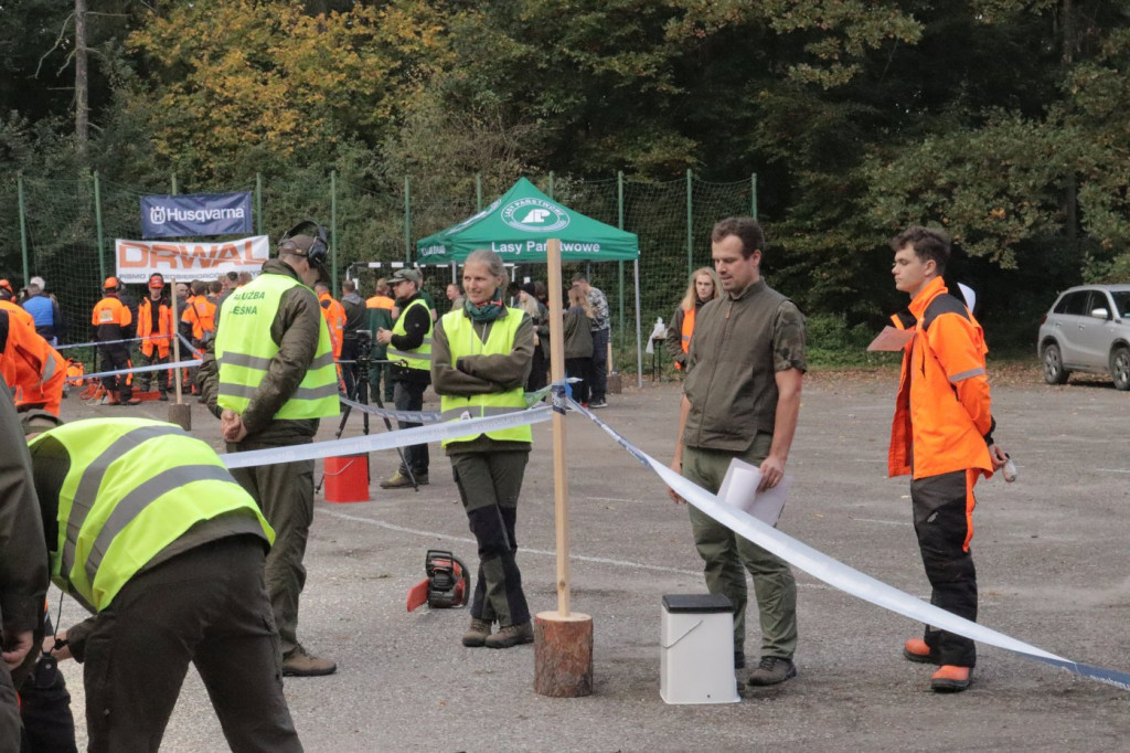 Mistrzowie piły w Brynku