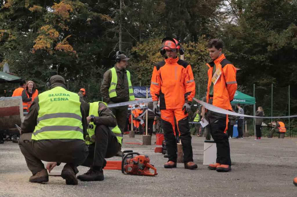 Mistrzowie piły w Brynku