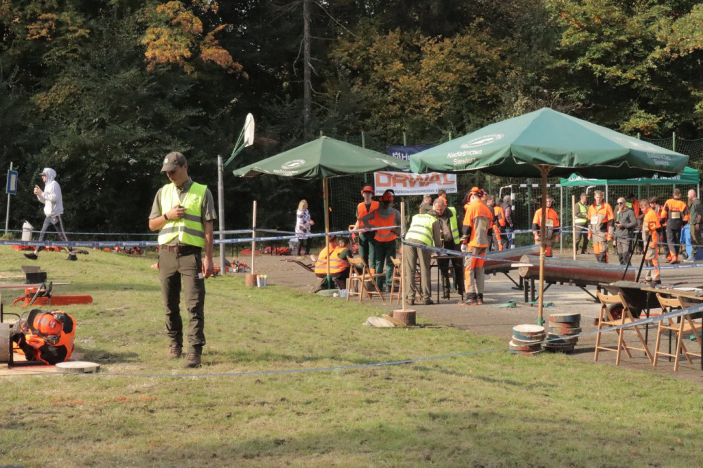 Mistrzowie piły w Brynku