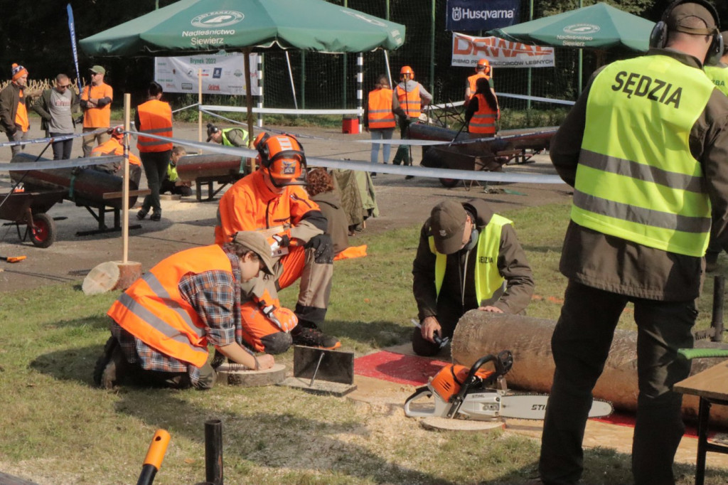 Mistrzowie piły w Brynku