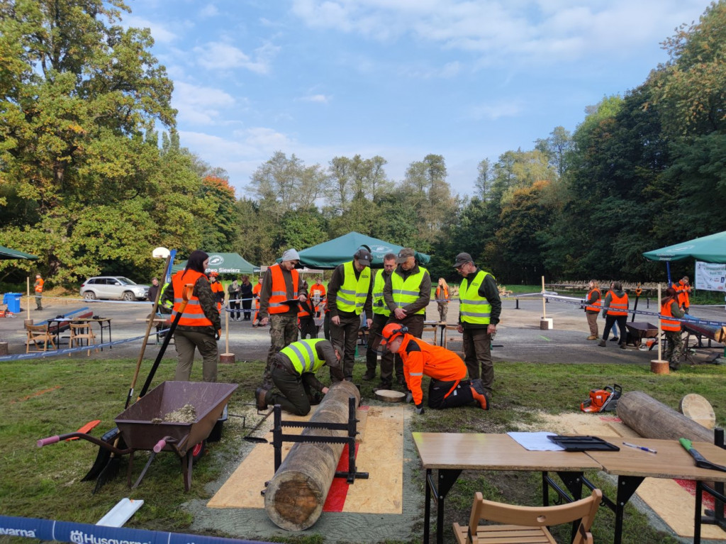 Mistrzowie piły w Brynku