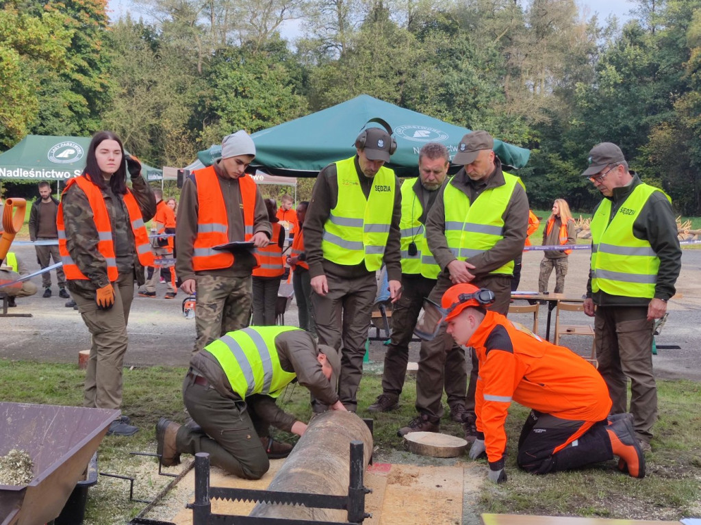 Mistrzowie piły w Brynku