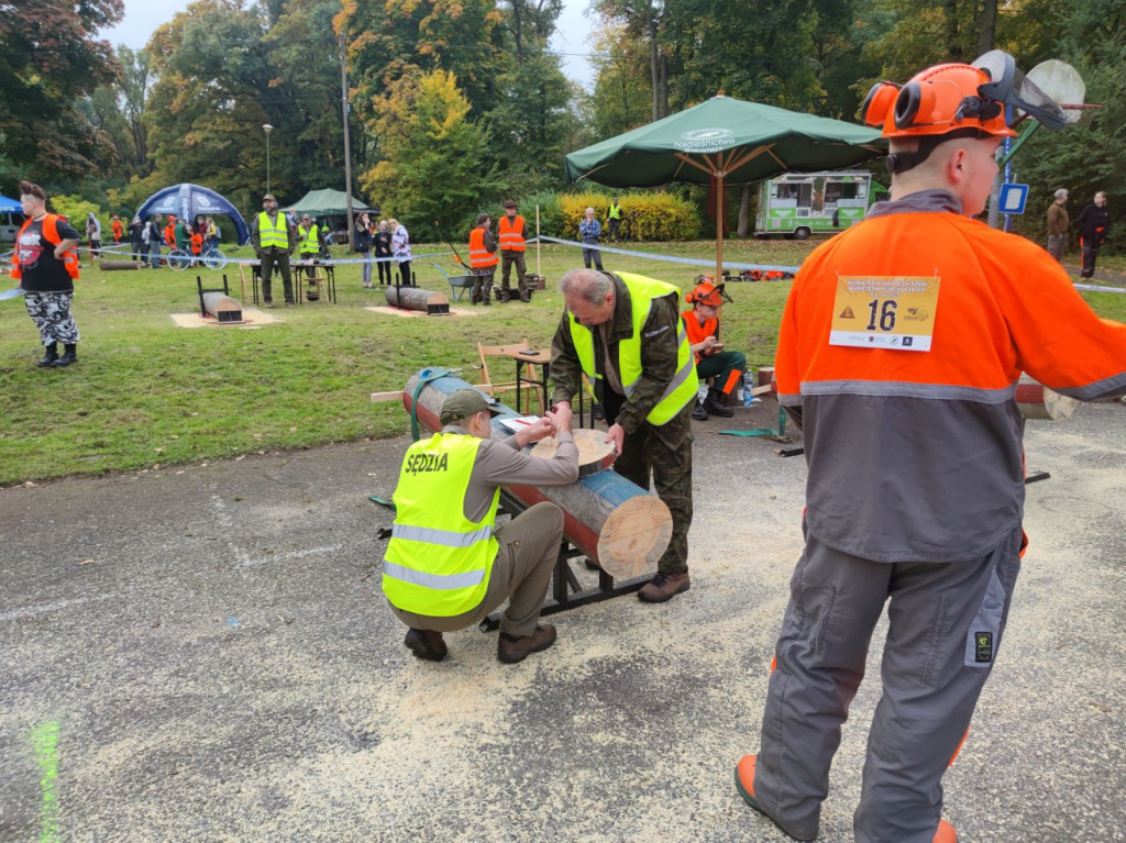 Mistrzowie piły w Brynku