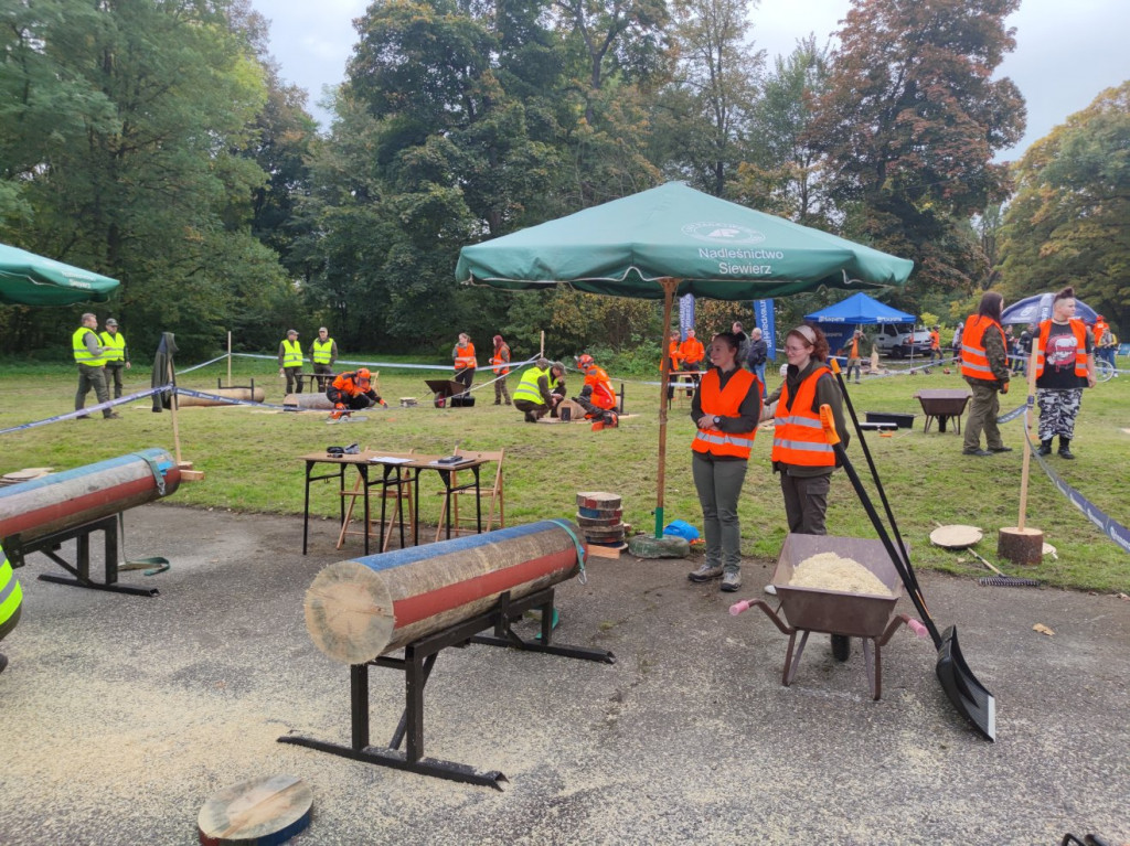 Mistrzowie piły w Brynku