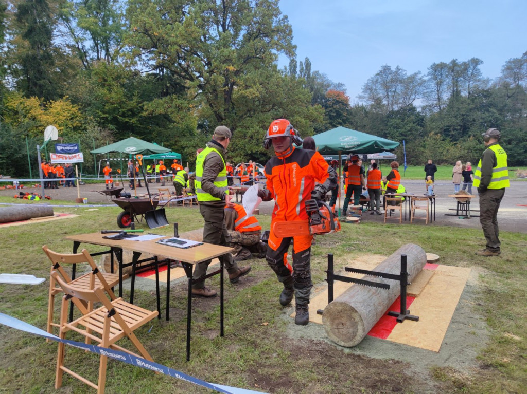 Mistrzowie piły w Brynku