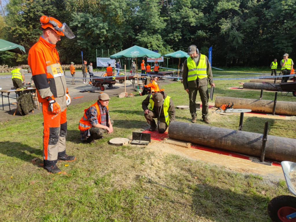 Mistrzowie piły w Brynku