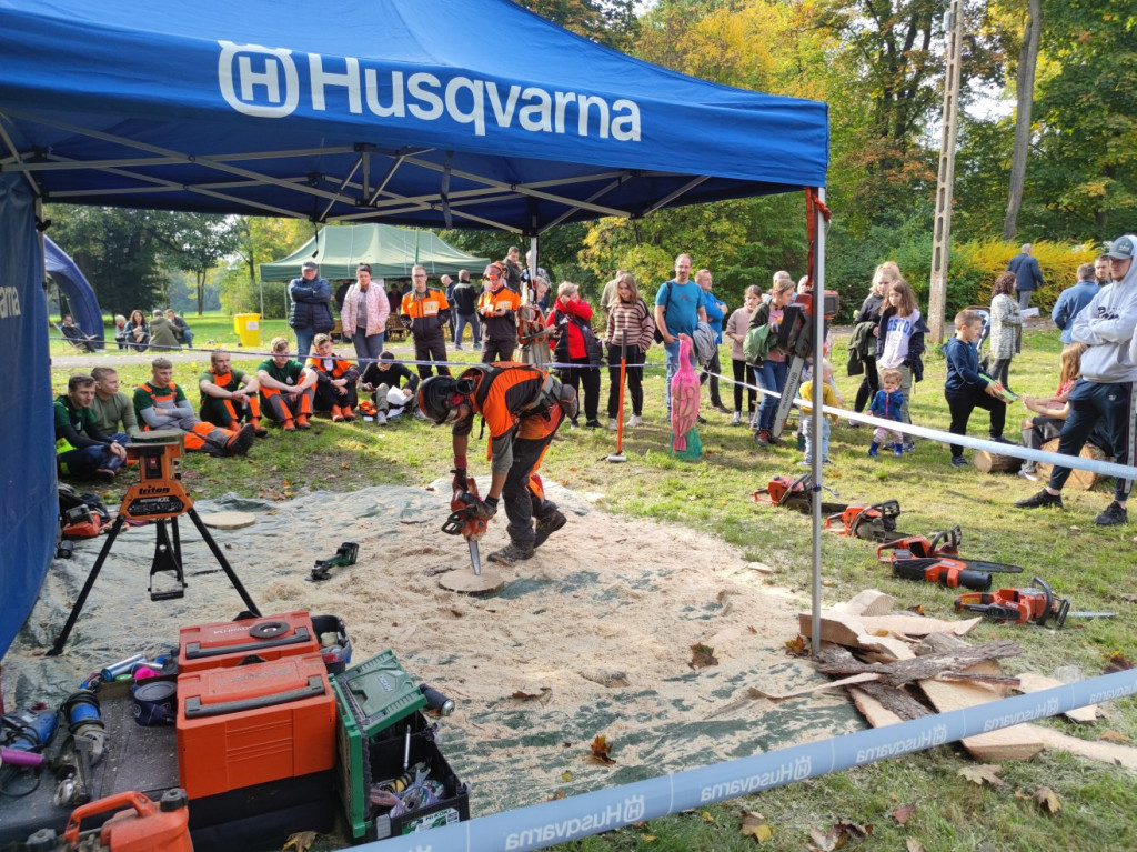 Mistrzowie piły w Brynku