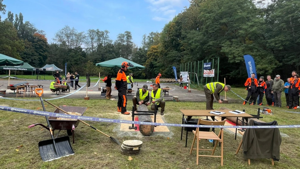 Mistrzowie piły w Brynku