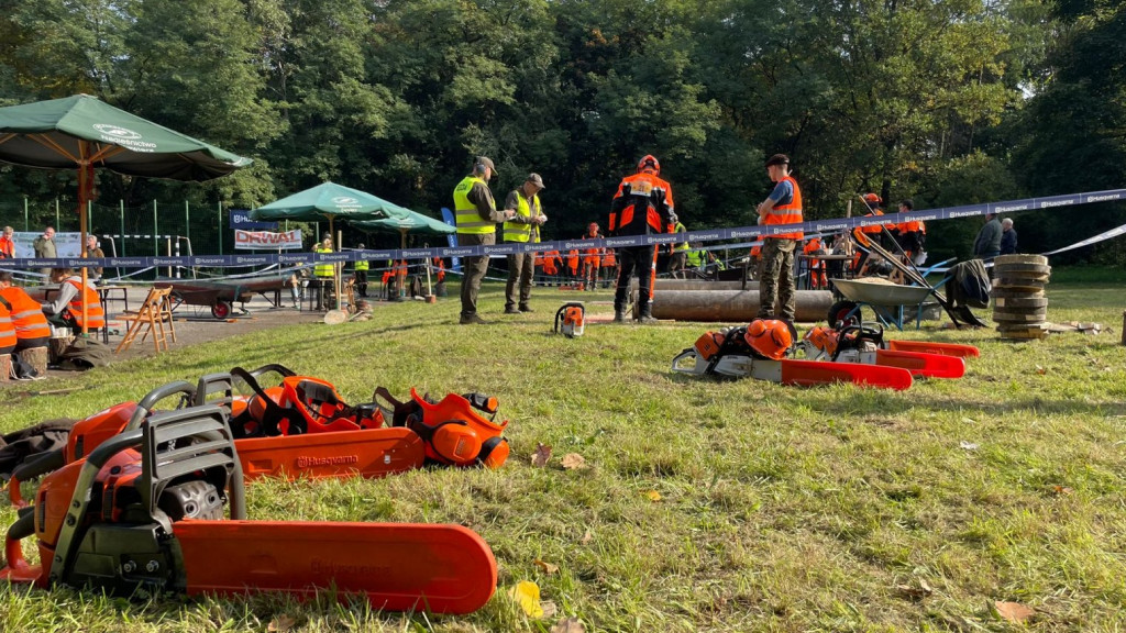 Mistrzowie piły w Brynku