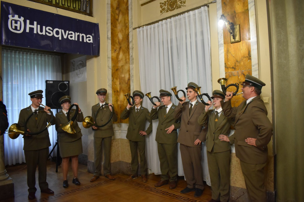 Mistrzowie piły w Brynku