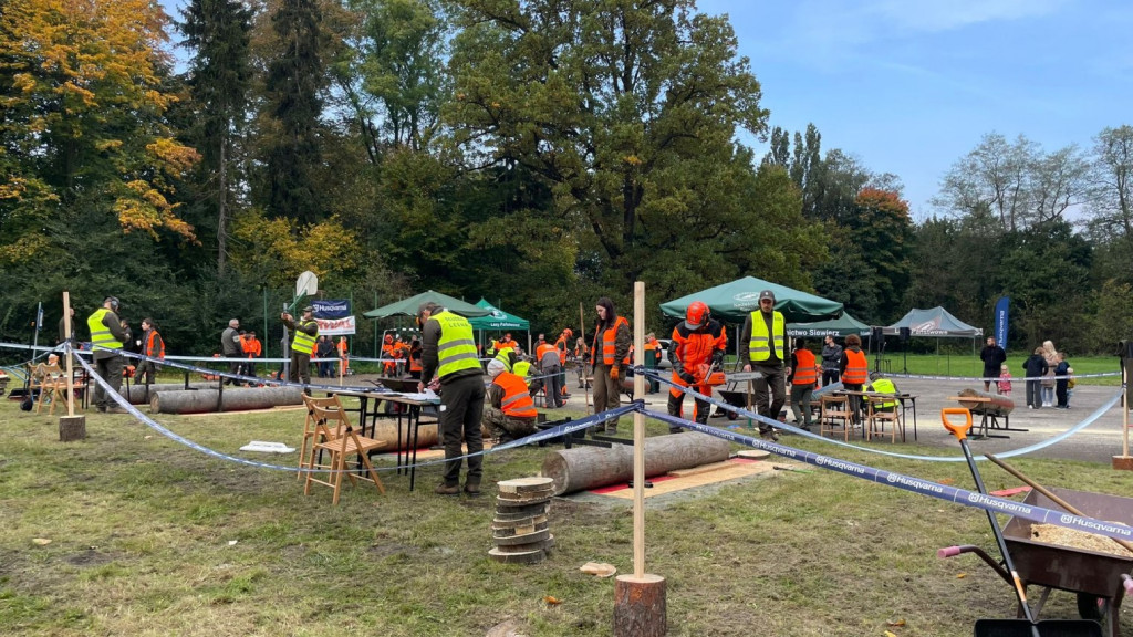 Mistrzowie piły w Brynku