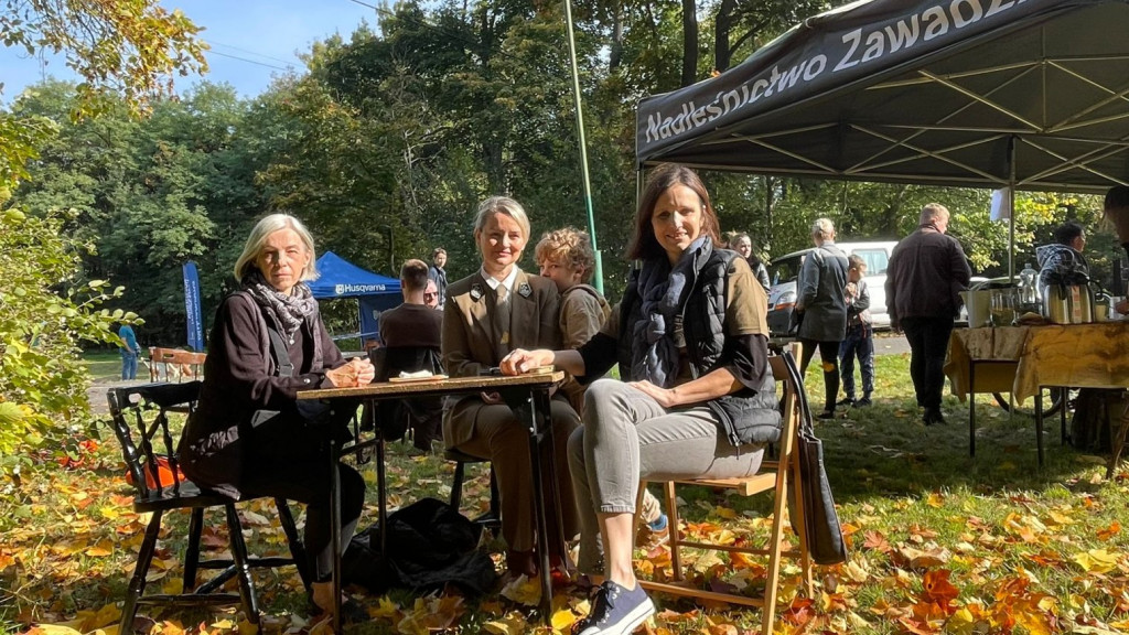 Mistrzowie piły w Brynku