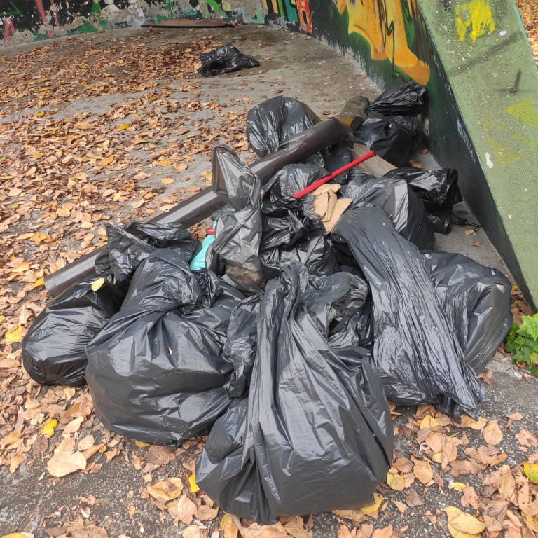 Podróż szlakiem Soplicy - sprzątanie Strzybnicy