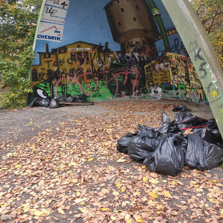 Podróż szlakiem Soplicy - sprzątanie Strzybnicy