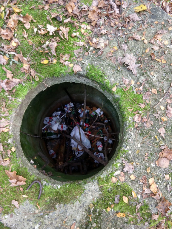 Podróż szlakiem Soplicy - sprzątanie Strzybnicy