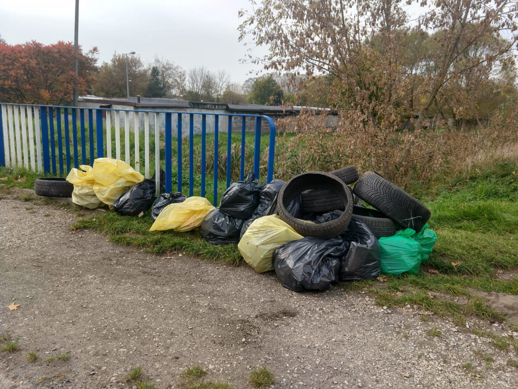Podróż szlakiem Soplicy - sprzątanie Strzybnicy