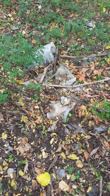 Podróż szlakiem Soplicy - sprzątanie Strzybnicy