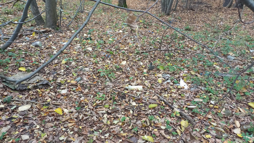 Podróż szlakiem Soplicy - sprzątanie Strzybnicy