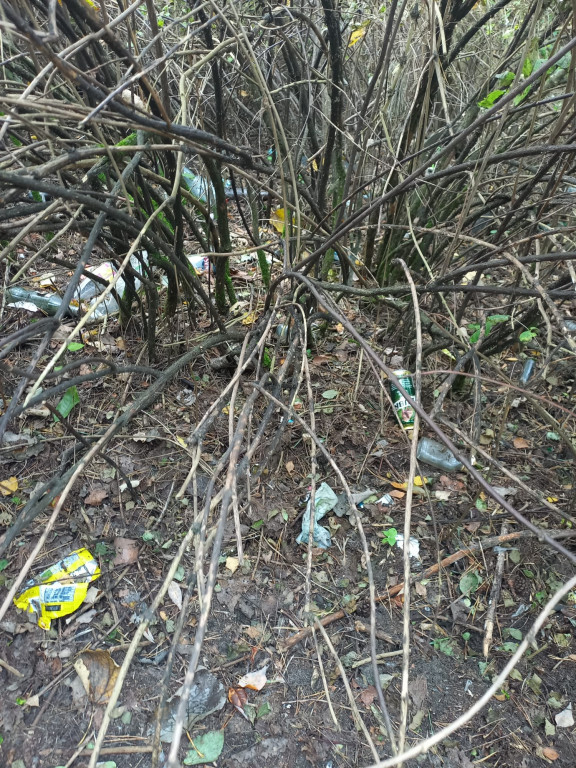 Podróż szlakiem Soplicy - sprzątanie Strzybnicy