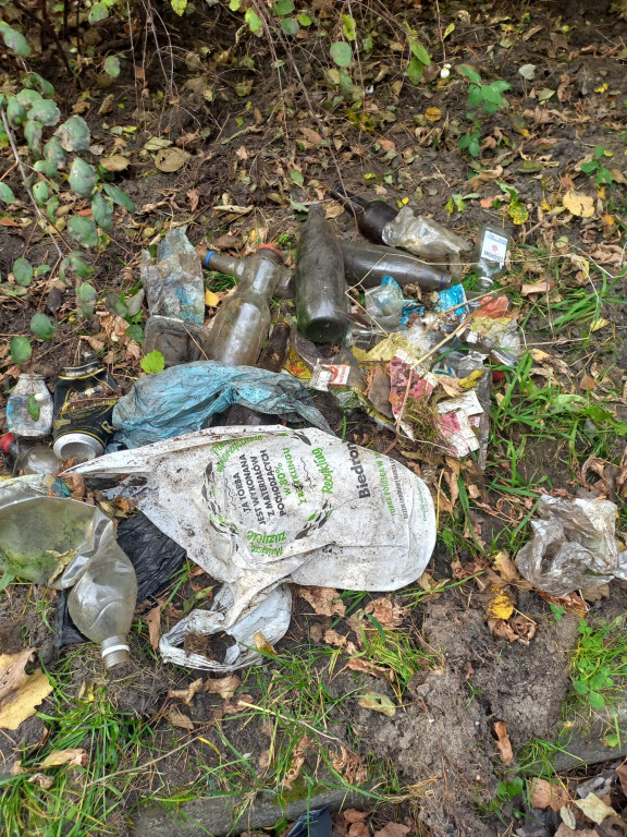 Podróż szlakiem Soplicy - sprzątanie Strzybnicy