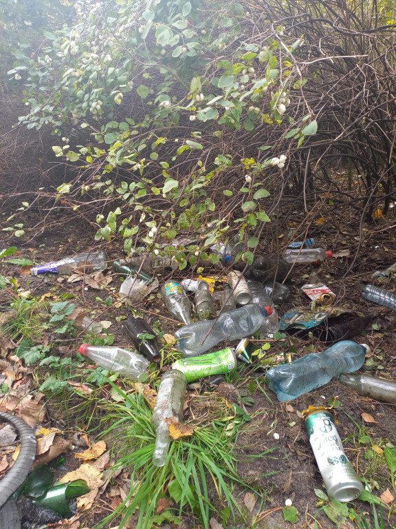 Podróż szlakiem Soplicy - sprzątanie Strzybnicy