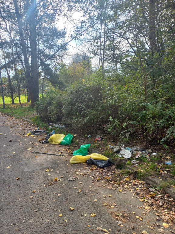 Podróż szlakiem Soplicy - sprzątanie Strzybnicy