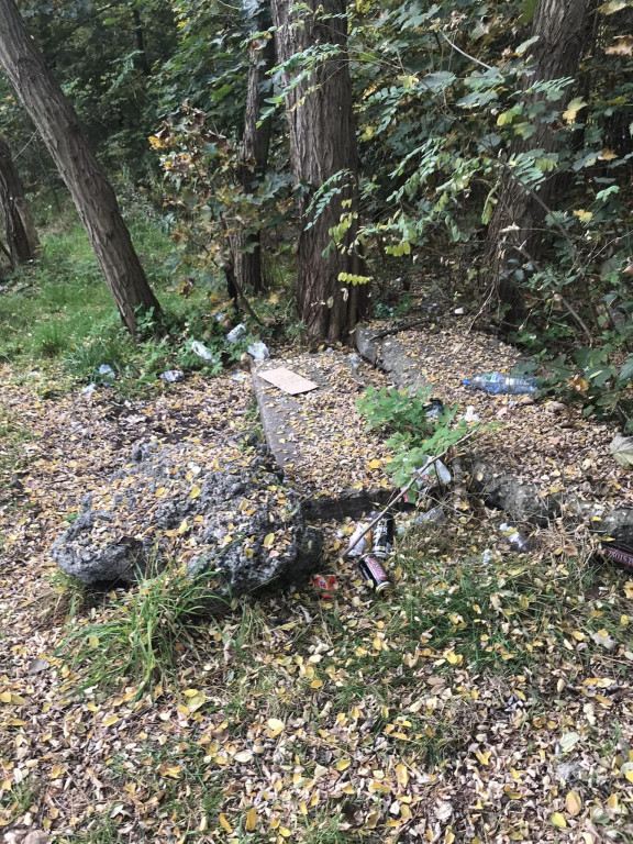 Podróż szlakiem Soplicy - sprzątanie Strzybnicy